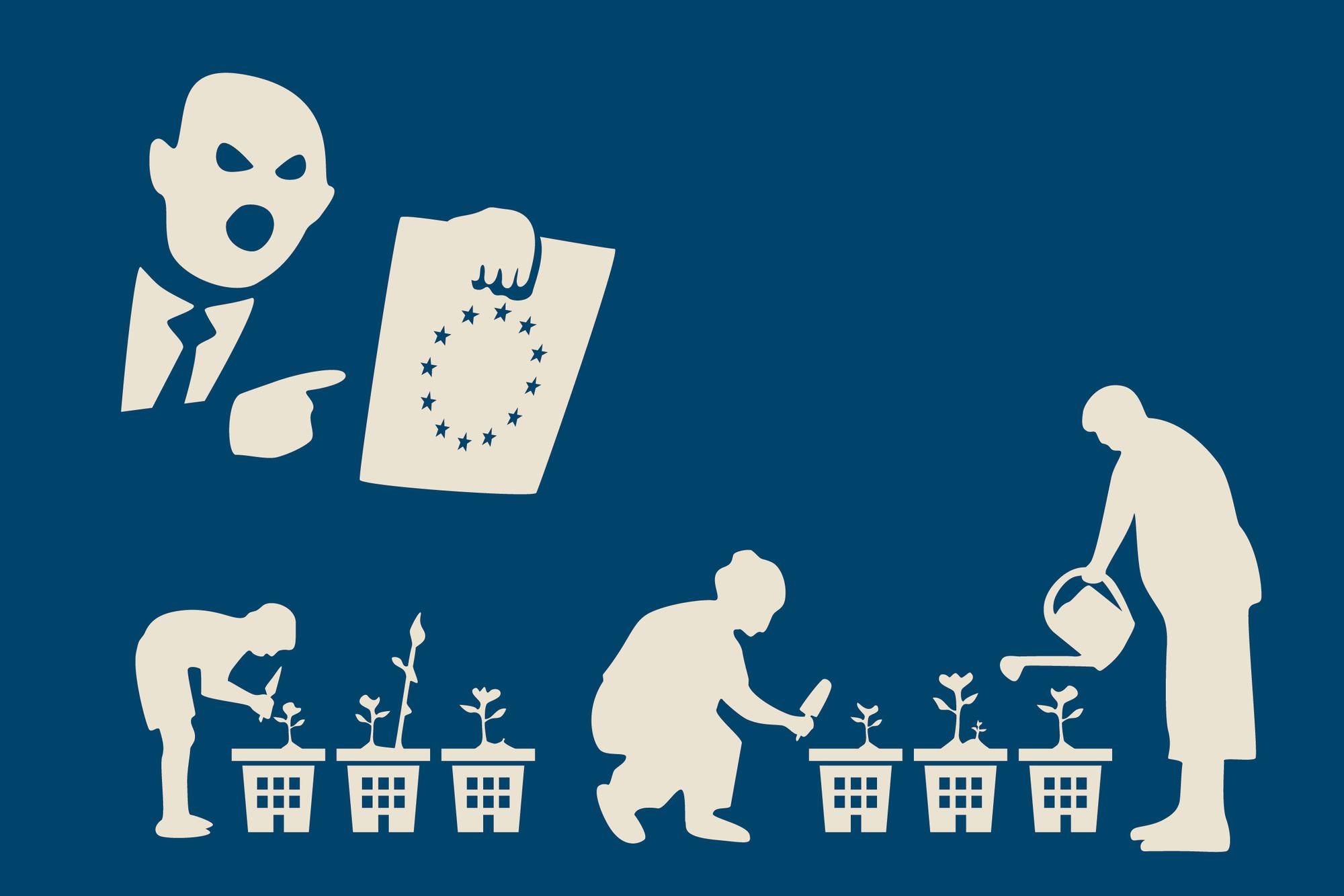 Ciudades con causa Luzzatti